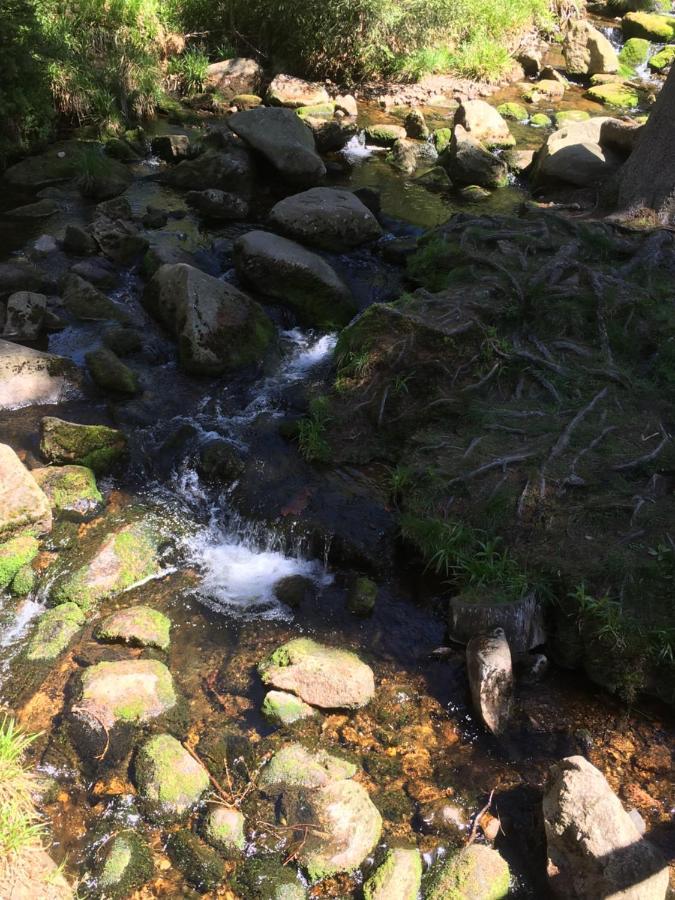 شقة Bergwelt برونلاغ المظهر الخارجي الصورة
